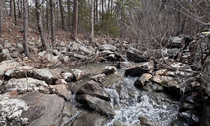Muse Cabin | Midnight Ride conveniently located to the trails. New Construction new listing