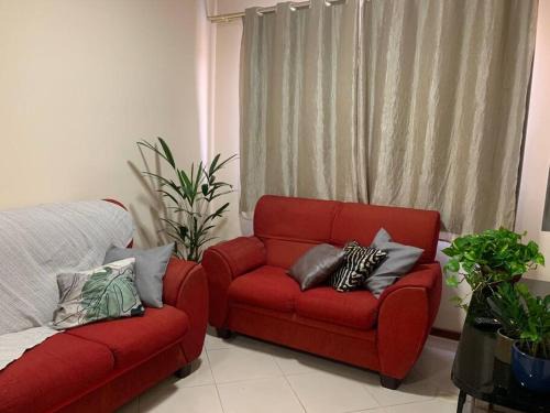 Araraquara Apartment | Mimo de hotel conforto de casa