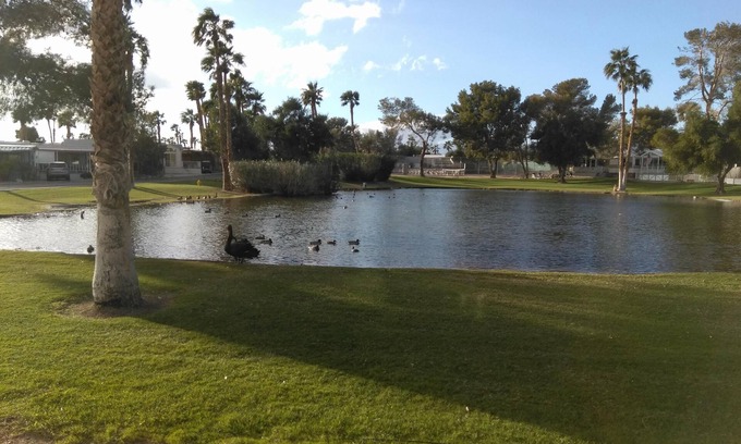 Desert Hot Springs House | Mineral Hot Springs Resort Home on Water (small lake)