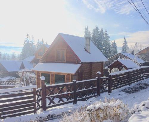 Yablunytsya House | Mini Cottage