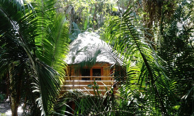 San Francisco Cabin | Mint Cabin 1. Romantic Ecolodge in the jungle by the sea