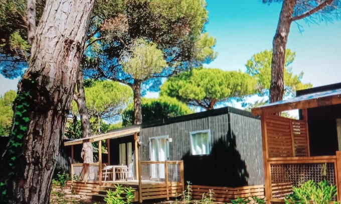 Le Bois-Plage-en-Re House | Mobilhome Ile de Ré, elegant wood 32 m2. Direct beach access. Pets allowed
