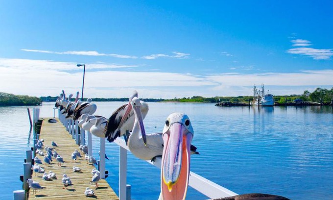 Yamba Hotel | Moby Dick Waterfront Resort Motel