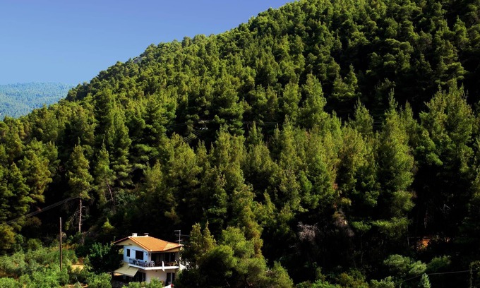 Sithonia Apartment | Modern furnished holiday apartment, idyllic located directly at the sea, Wifi |
