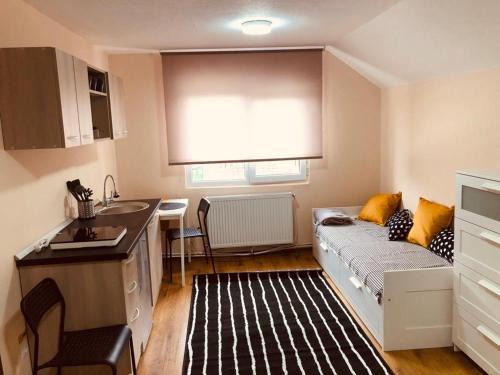 Oradea Apartment | Modern Studio Apartment