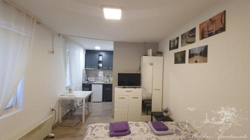 Vracar Apartment | Molders Apartments