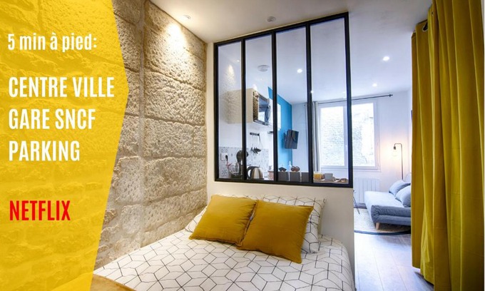 Centre Ville Apartment | MON LOFT NIORTAIS - LE SCOFA