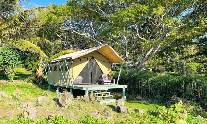 Kealakekua Apartment | Monkeypod Canopy with Shared Bath and Common House