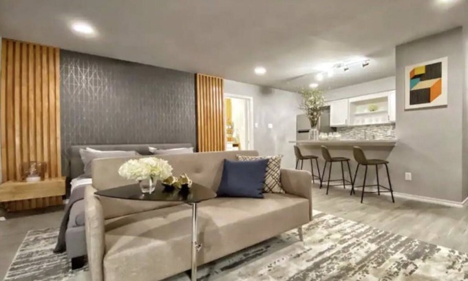 Neartown Apartment | Montrose Cheery Studio! Medical Center 09 ⭐️⭐️⭐️⭐️⭐️