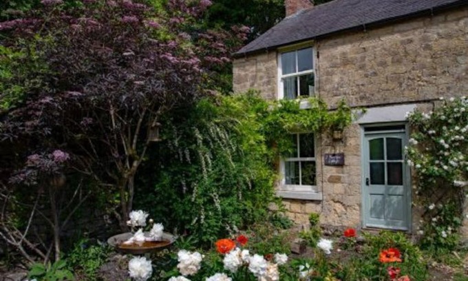 Lockton House | Moor View