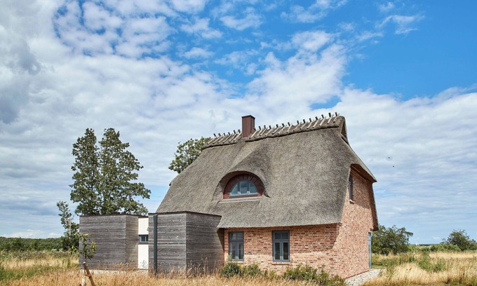 Nieby House | Mooreiche das Atelierhaus Unter Reet für bis zu 8 Personen &direktem Seeblick