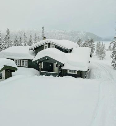 Hjartdal House | Mountain Cabin With Views Of Bonsenås
