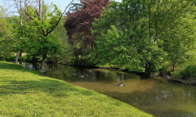 Pigeon Forge Ski Chalet | Mountain Stream -Riverside w/Hot Tub Walk to Pigeon Forge FREE Tickets!