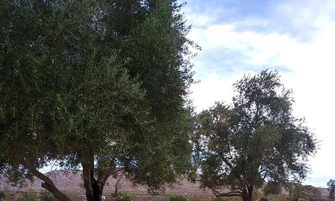 Indian Cove House | Mountain view. Indian cove. Campground.