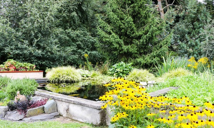 Clenchwarton Cottage | Mrs Dale's Cottage