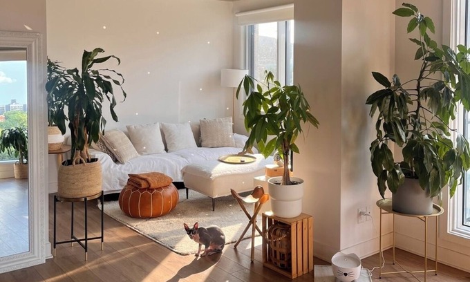 Quartier des Spectacles House | MTL downtown sanctuary. nUrban safe place, perfect for couples & solo travelers.