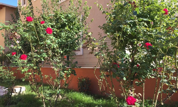 Marmara Apartment | Murat Kaptan Apart Otel