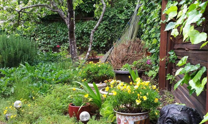 Carmel Woods Apartment | n "Casa Costagliola" Fabulous deal in Carmel!