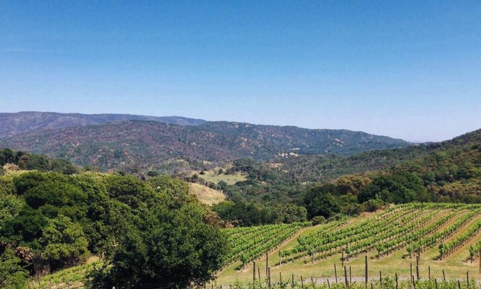 Napa House | Napa Vineyard with Stunning Views By Allevo Homes