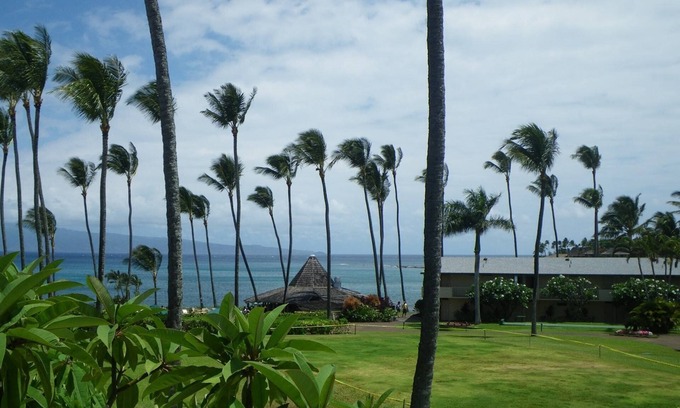Napili Condo | Napili Shores H-167 - Steps to Napili Bay - Complimentary Activities Every Day!