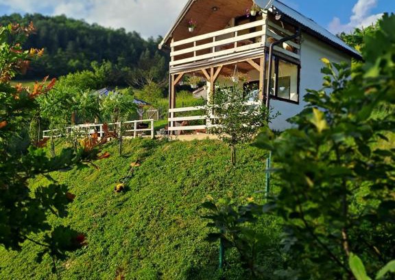 Zenica-Doboj Canton House | Natural House