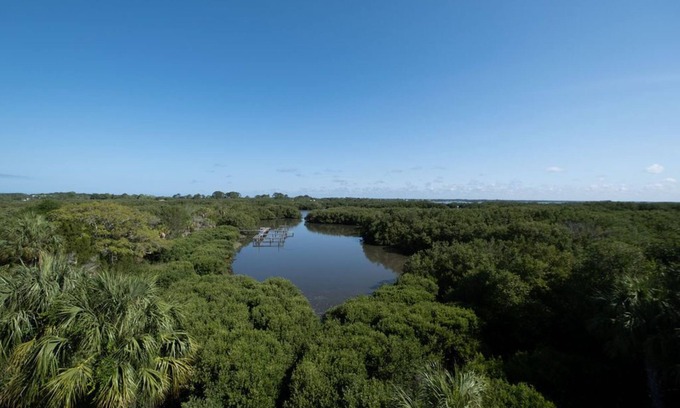 Cedar Key Condo | Nature's Landing C302 Pool and Amazing Water View!