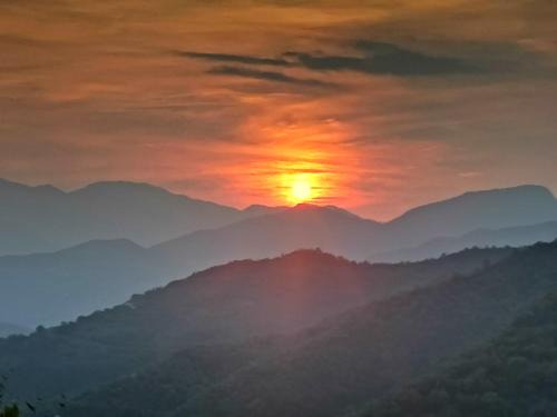 Berzi House | Nature's Rustico - Quiet Location - Picturesque