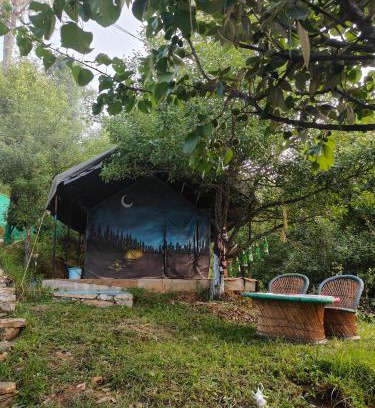 Kaul Other | Nayantaara by lake & woods