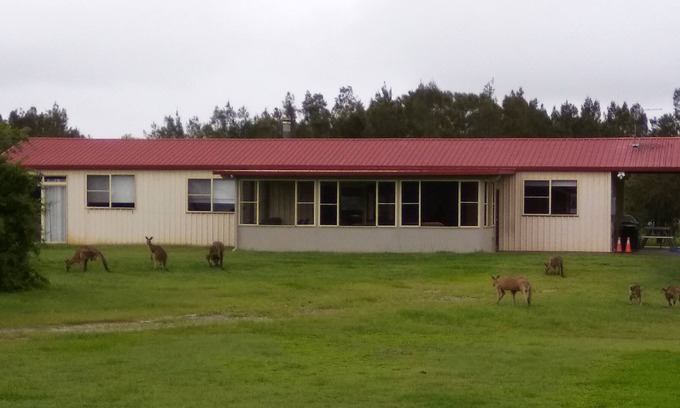 Micalo Island Other | Near and Far Yamba - Farmstay - Family & Dog Friendly