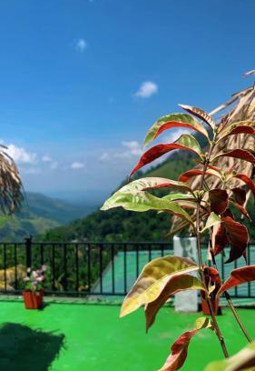 Ella Hotel | Nest Of Peak Ella