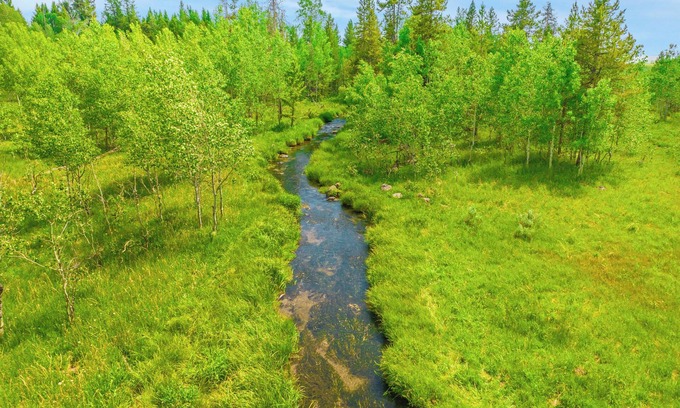 Island Park Cabin | New Luxury Yellowstone House: 6 Acres, Private Decks, Chef’s Kitchen, Heat & AC