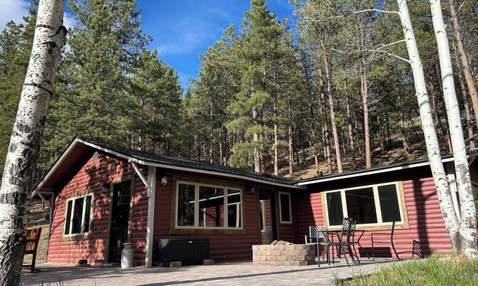 Conifer Cabin | New! Mountain cabin escape - 1 hr from DIA! Gas firepit & Wifi