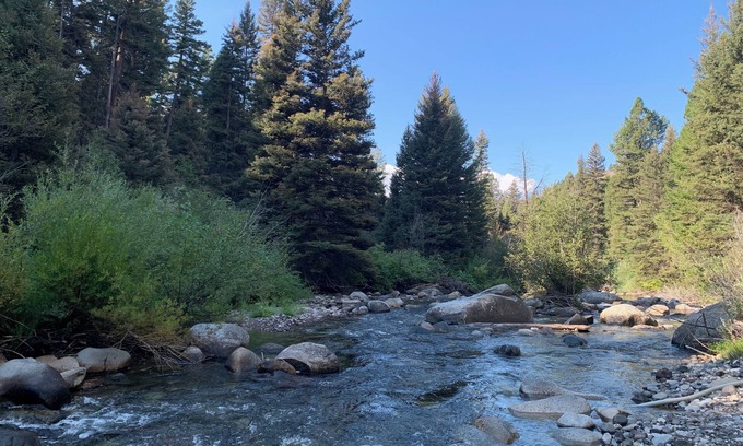 Gardiner House | NEW! Private~Treed Acreage On Bear Creek~3 Living Rooms~5 Miles to YellowstoneNP