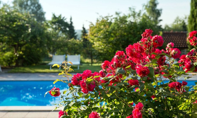 Bitzenhofen Apartment | Newly built, modern 3-room luxury apartments near Lake Constance
