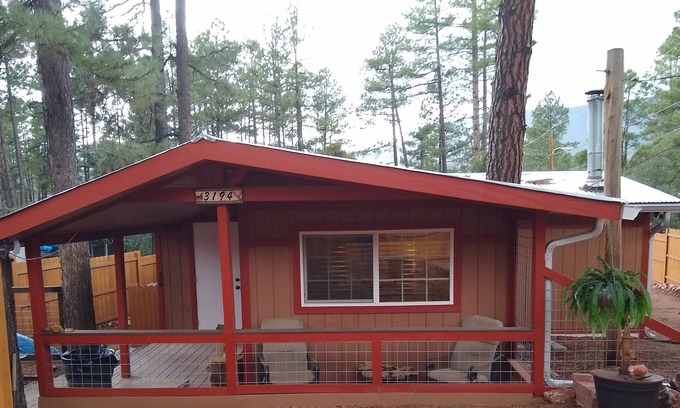 Pine Cabin | Newly remodeled cabin in the pines w/firepit, redwood fenced yard, close hiking