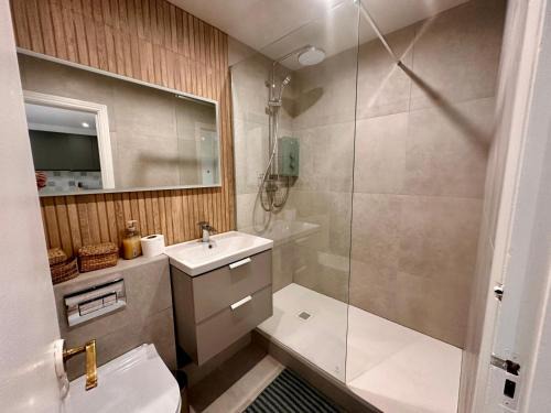 City Centre Dublin Apartment | Newly Renovated Christchurch 1BD Roof Garden