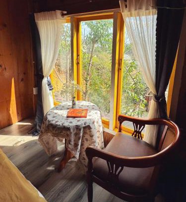 Da Lat Apartment | Nhà Dưới Đồi Homestay