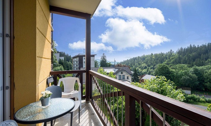 Janske Lazne Apartment | Nice apartment for 4 guests with WIFI, TV, balcony, pets allowed and parking