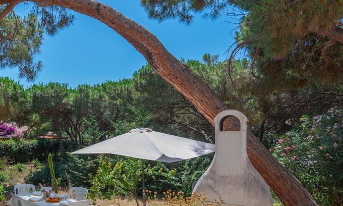 San Pietro a Mare Apartment | Nice apartment for 4 people with A/C, WIFI, TV, patio and pets allowed