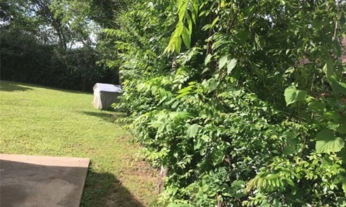 Snellville House | Nice house in quiet neighborhood