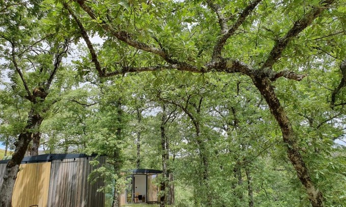 Montalegre Cabin | Ninho da Avó Selvagem