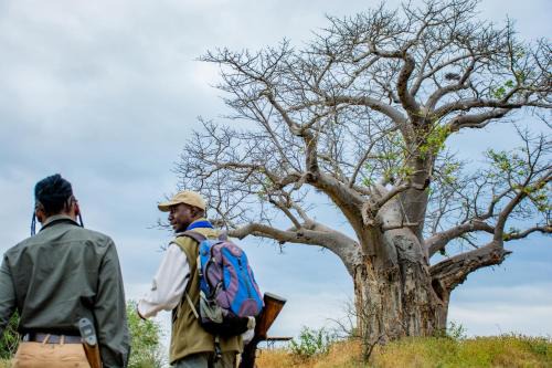 Kruger National Park Other | Nkula Camp - Pafuri Walking Safari's