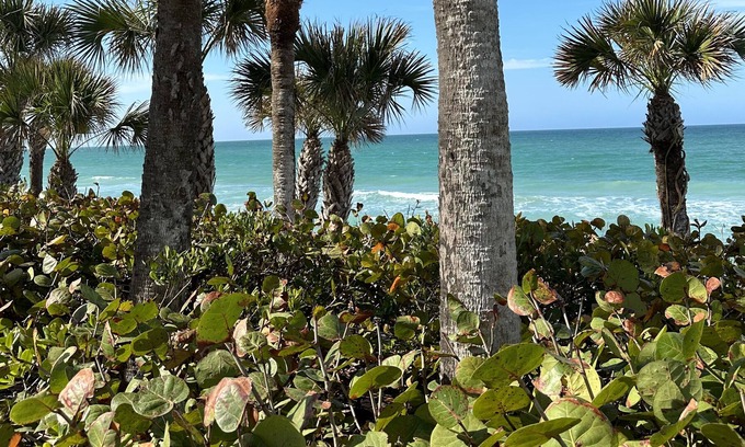 Laurel Condo | Nokomis Beach Retreat
