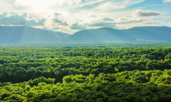 Catskill House | Nordic Retreat: Eco Scandinavian Modern Getaway