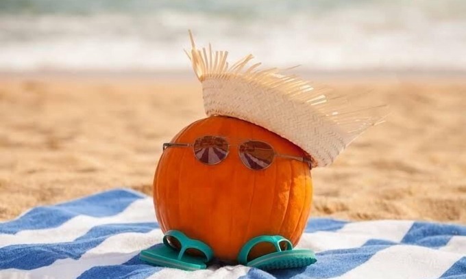 Palmetto Dunes House | Nov 15 Special,Inquire, 5BR, private backyard & pool, hot tub, bikes, pool toys