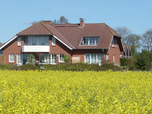 Neue Tiefe Apartment | NTBM36002-FeWo-Kiekut