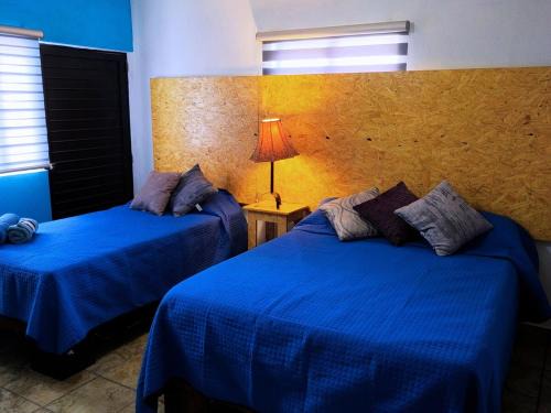 Ciudad Victoria Apartment | Nuevo Depa Turquesa chic y súper cómodo