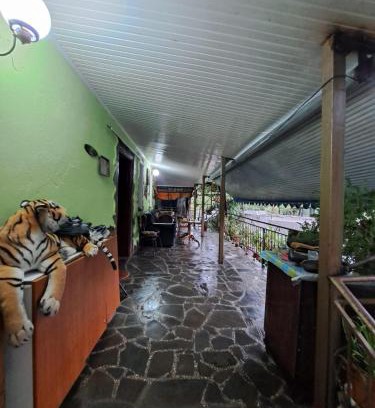 Permet House | Nurka