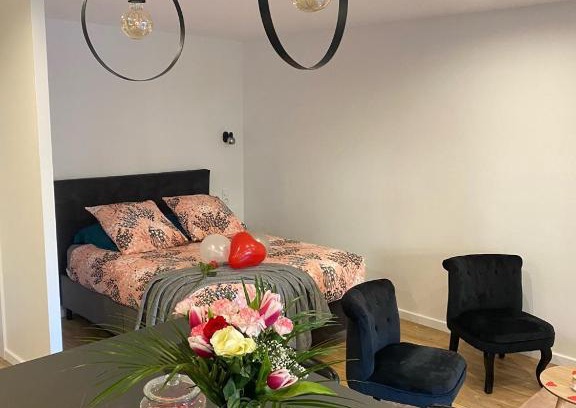 Aix-les-Bains Apartment | O2M Aix les bains