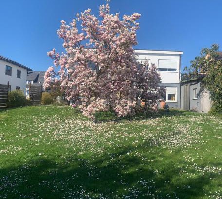 Radolfzell am Bodensee House | Oase der Gemütlichkeit an den See n
